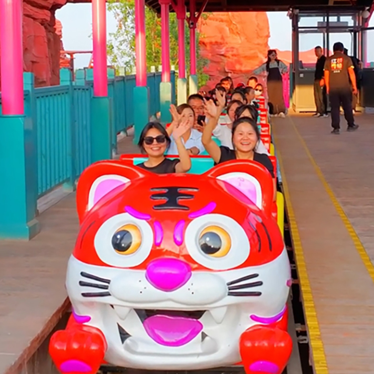 家庭過(guò)山車(chē)B