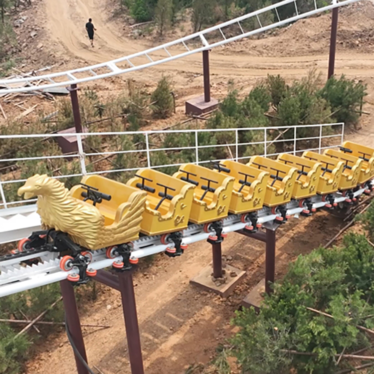 家庭過(guò)山車(chē)C